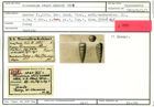 Karteikarte zum Syntyp von Plecanium sturi Karrer, 1865